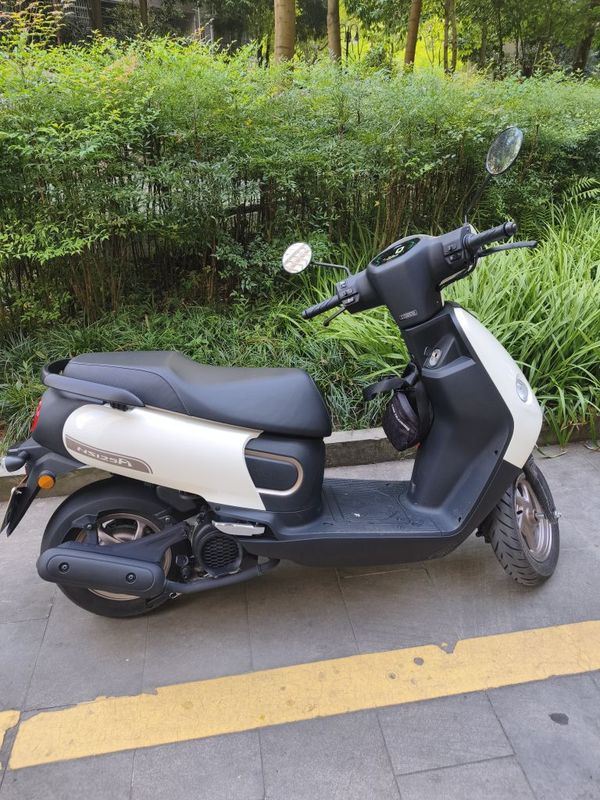 二手新大洲本田NS125A