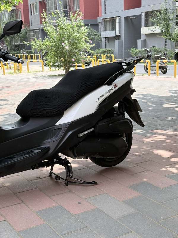 二手三阳Joymax Z 300