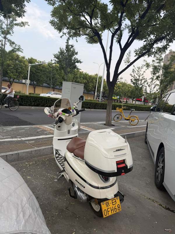 二手南方梦拉丽莎 飞戈
