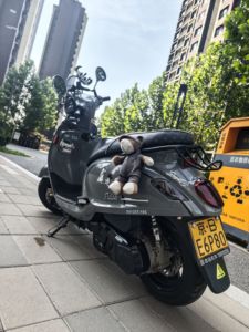 二手三阳Fiddle