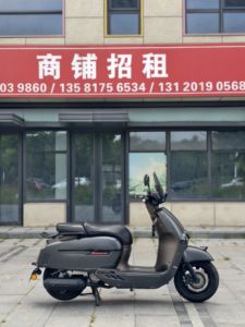 二手维多利亚Sixties 300i