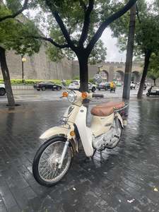 二手洛嘉后浪