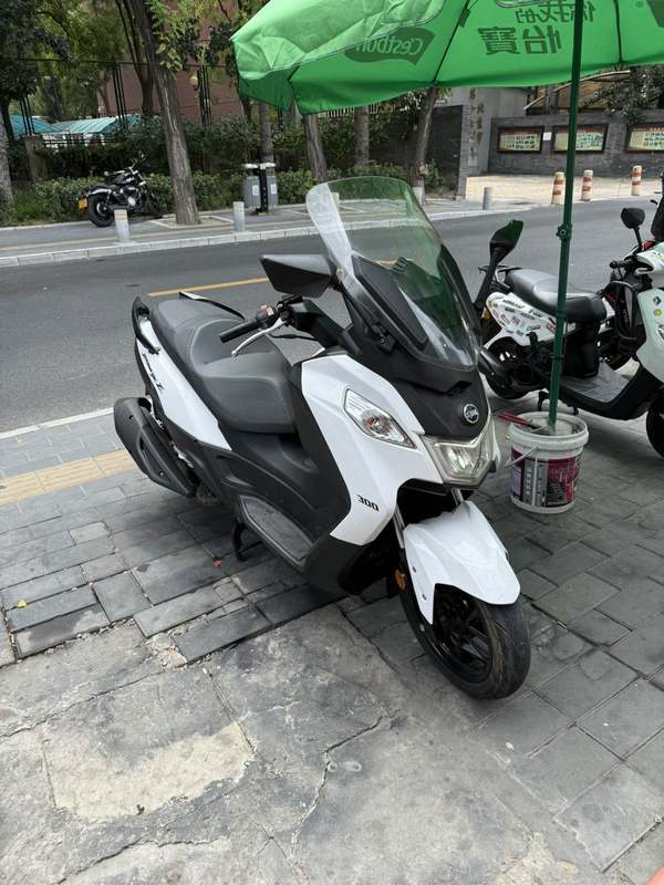 二手三阳Joymax Z 300
