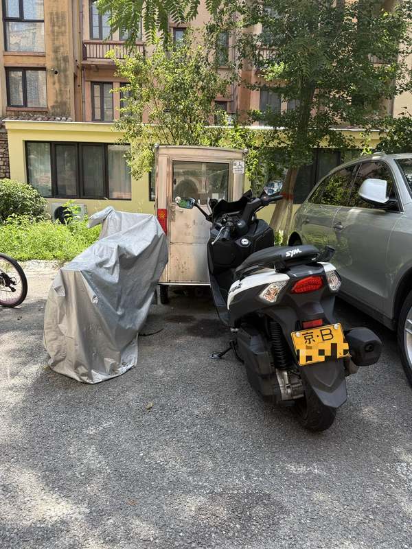 二手三阳Joymax Z 300