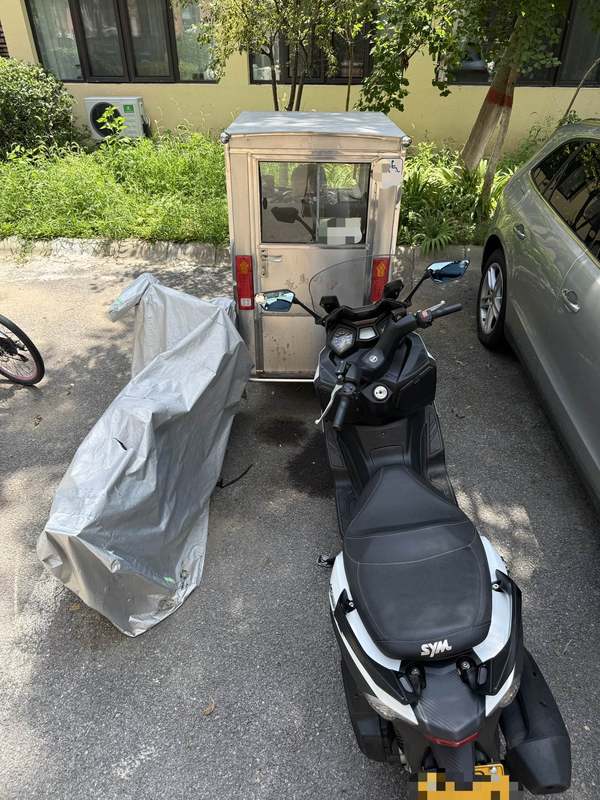 二手三阳Joymax Z 300