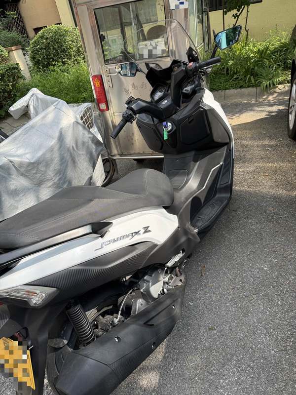 二手三阳Joymax Z 300