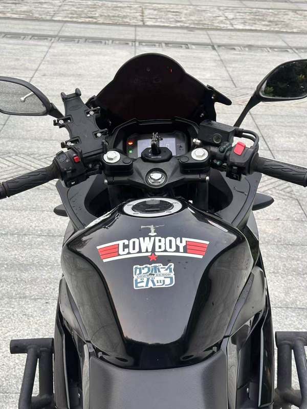 二手豪爵铃木GSX250R