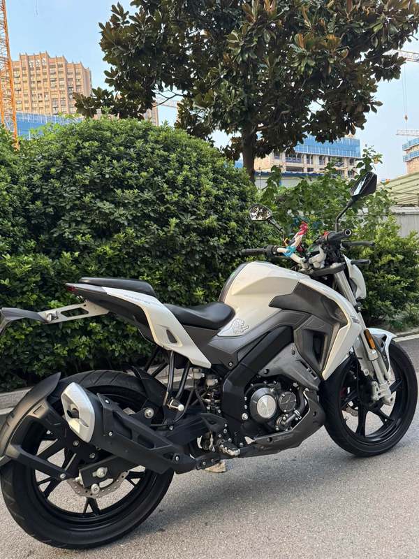 二手贝纳利小迅龙 BN150S