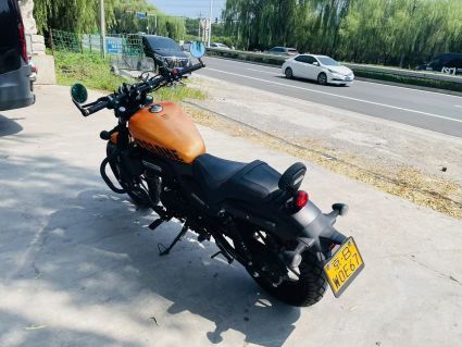 二手赛科龙RA250