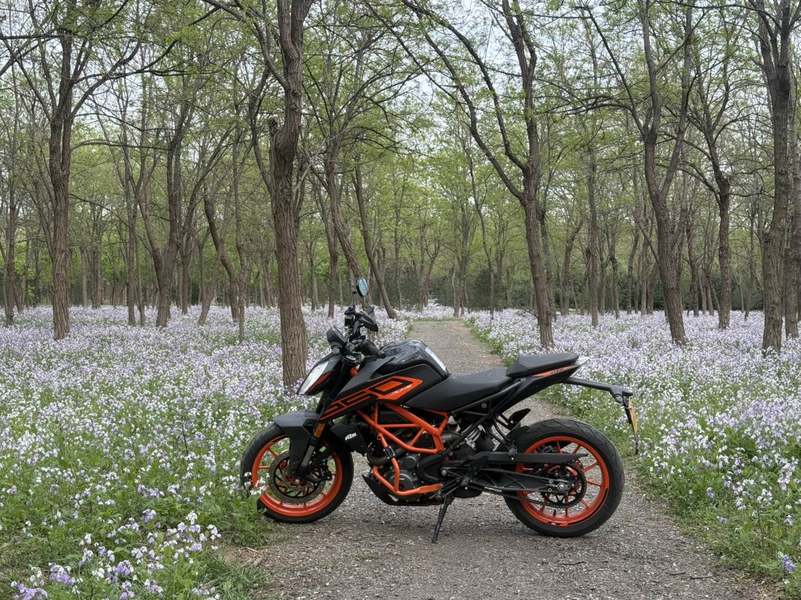 二手KTMR2R250 Duke