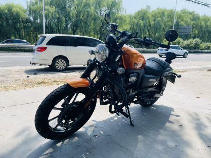 二手赛科龙RA250