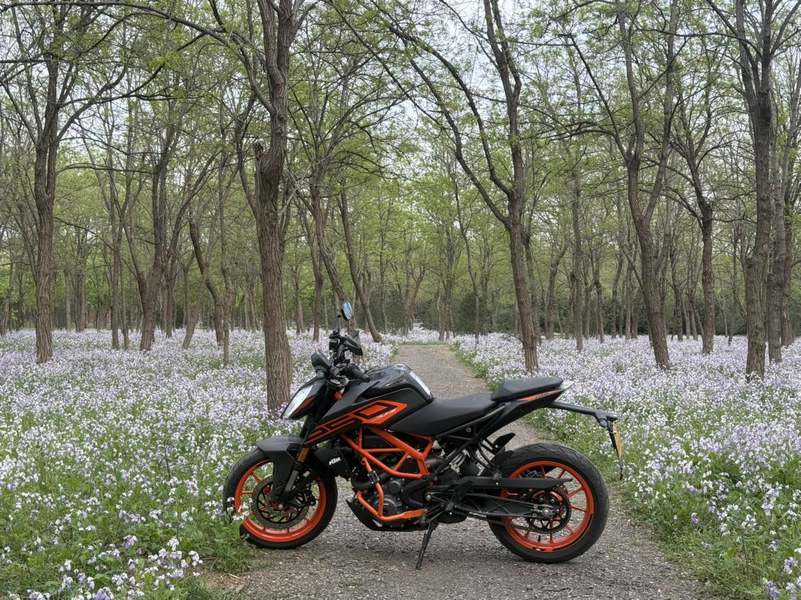 二手KTMR2R250 Duke