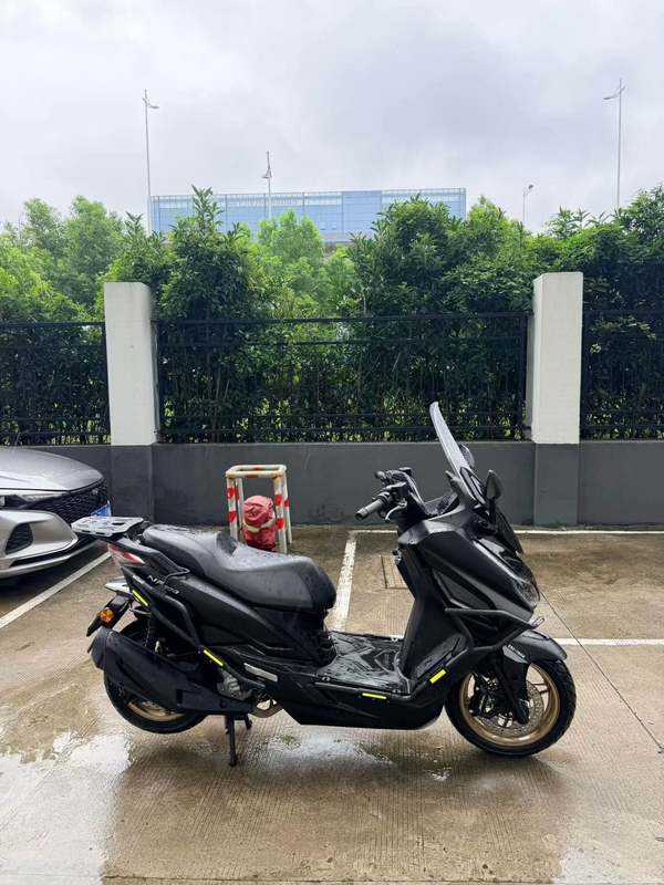 二手南方飞鲨