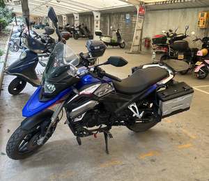 二手赛科龙RX1S