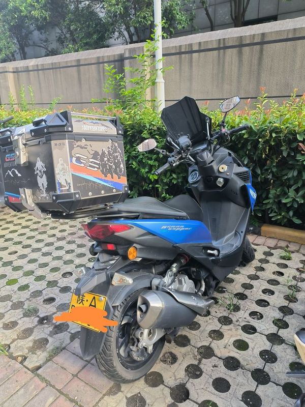 二手金城草蜢 200