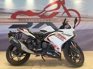 二手无极300RR