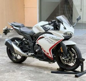 二手无极300RR