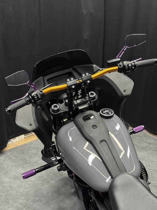 二手哈雷戴维森路威 Low Rider S