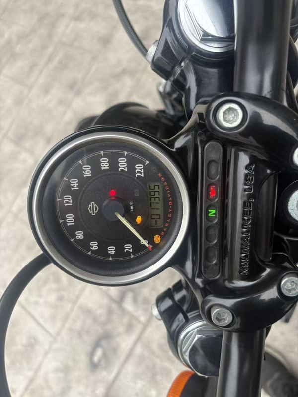 二手哈雷戴维森XL1200X Forty-Eight