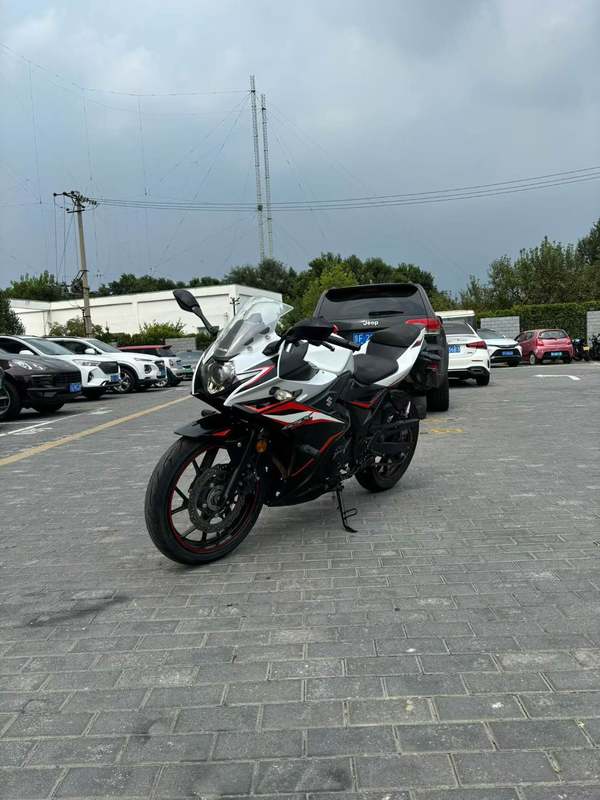 二手豪爵铃木GSX250R
