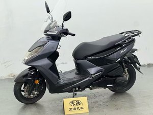 二手三阳FNX150