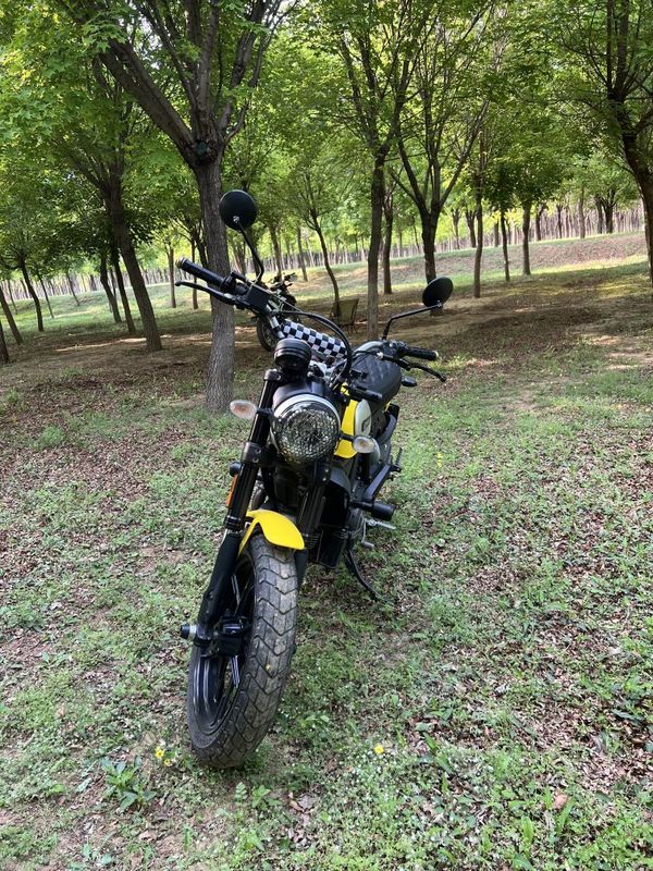 二手杜卡迪Scrambler 800