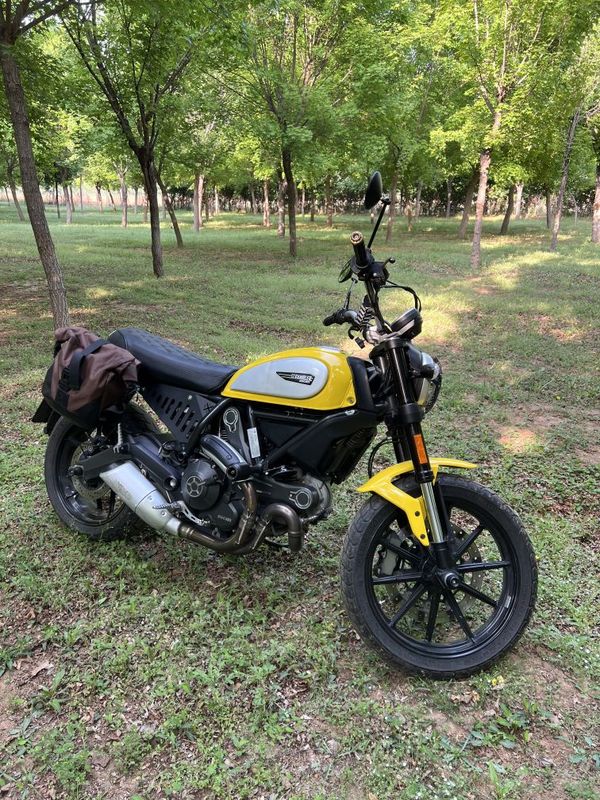 二手杜卡迪Scrambler 800