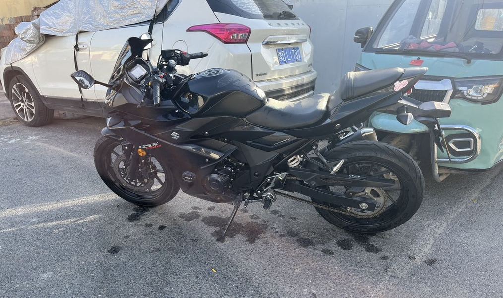 二手豪爵铃木GSX250R