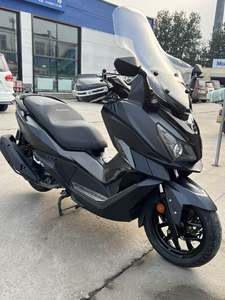 二手三阳巡弋 Cruisym300