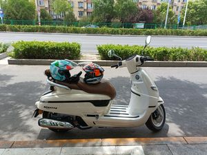 二手南方梦拉丽莎 飞戈