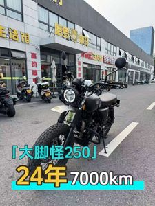 二手轻骑U侠 大脚攀爬者