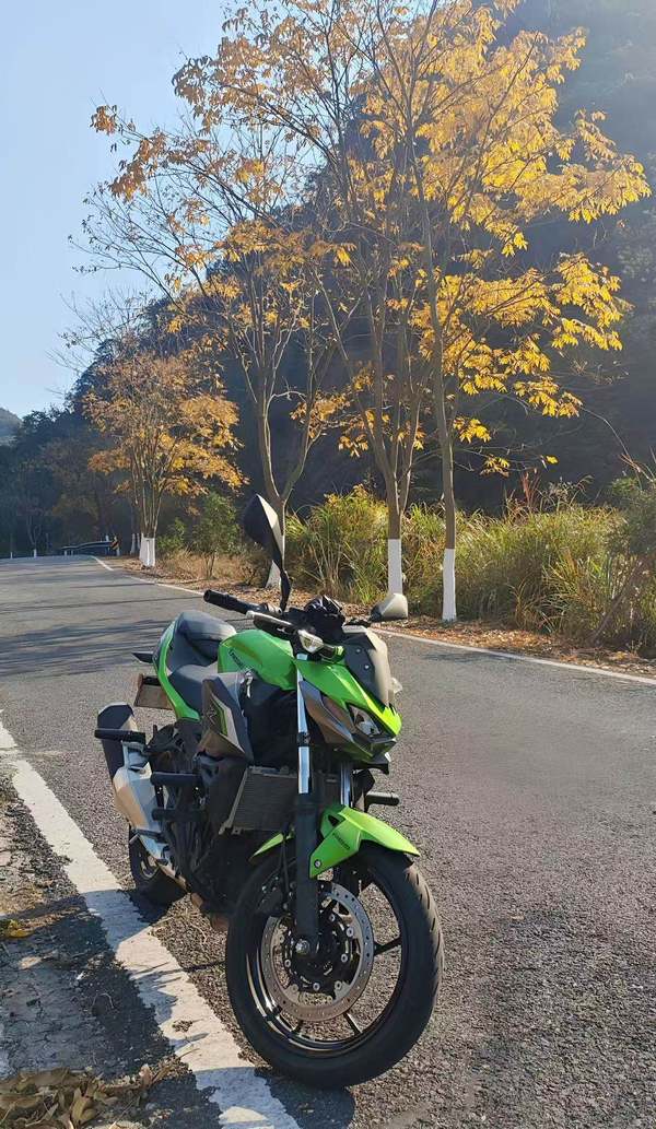 二手川崎Z500