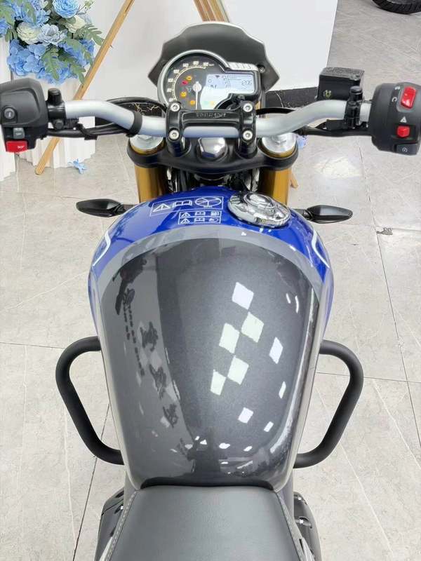 二手凯旋Speed 400