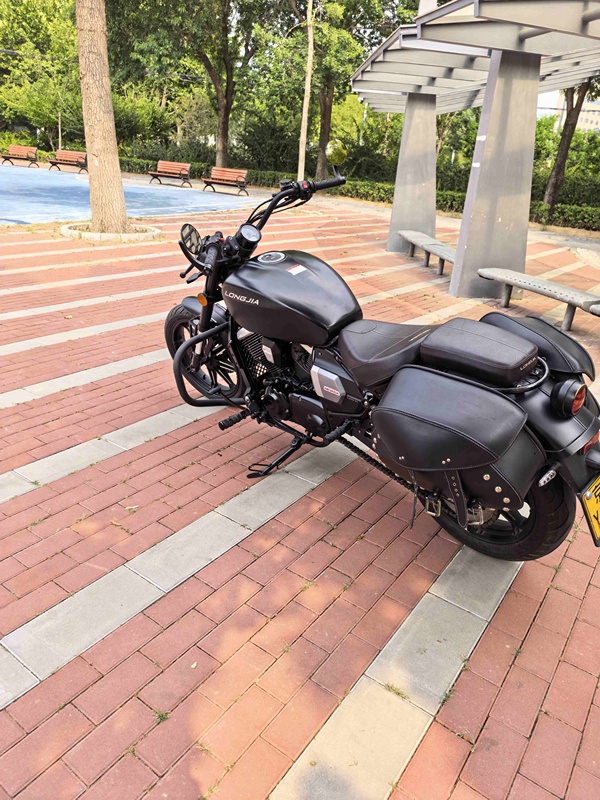 二手龙嘉V途250