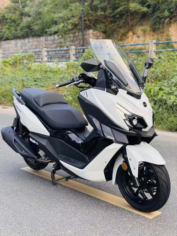 二手三阳巡弋 Cruisym250