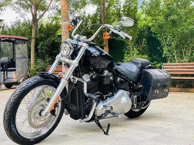 二手哈雷戴维森Softail Standard
