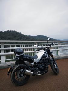 二手贝纳利幼狮 Leoncino 500