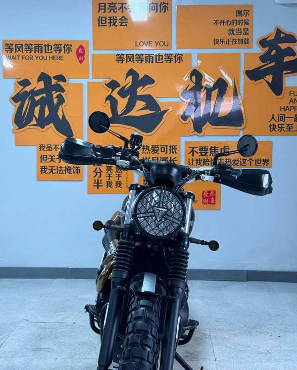 二手凯旋Scrambler 900