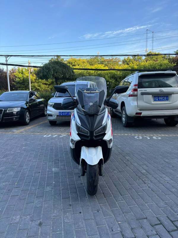 二手三阳Joymax Z 300