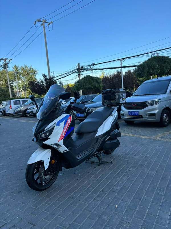 二手三阳Joymax Z 300