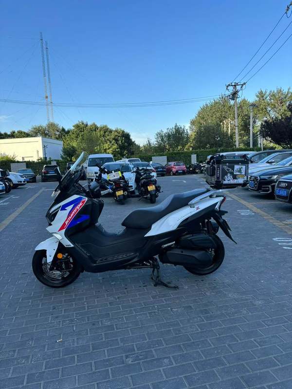 二手三阳Joymax Z 300