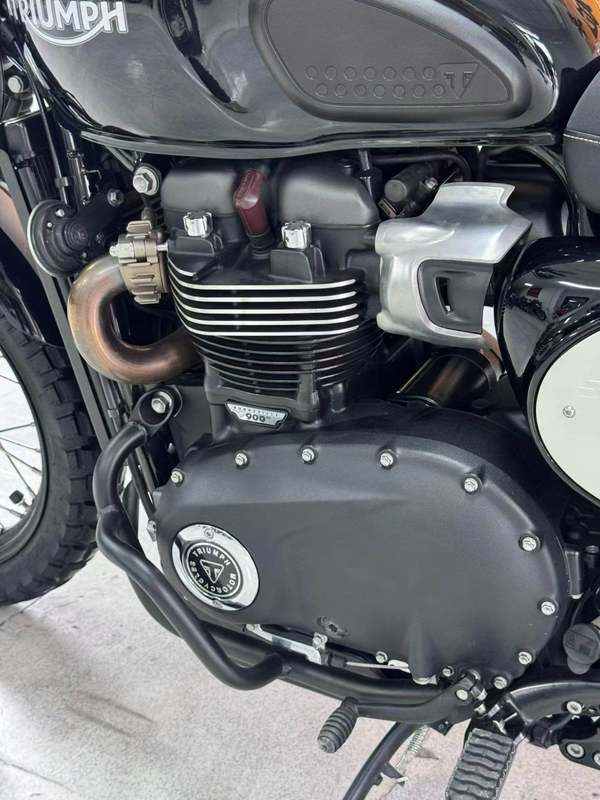 二手凯旋Scrambler 900