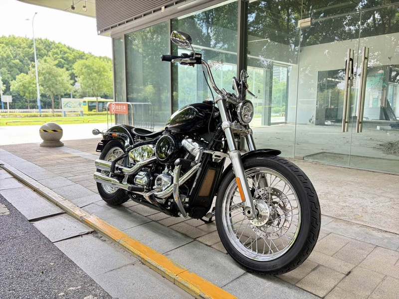 二手哈雷戴维森Softail Standard