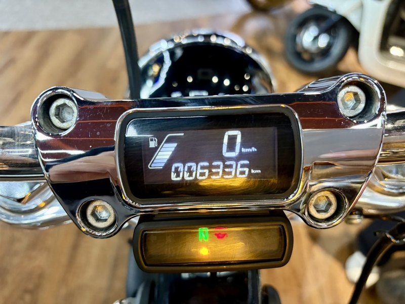 二手哈雷戴维森Softail Standard