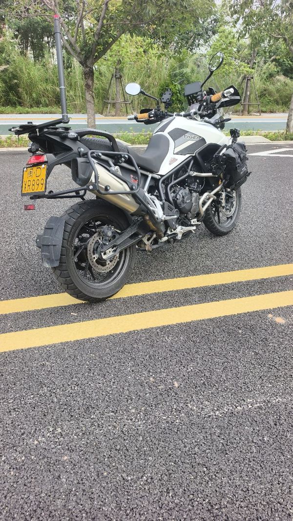 二手凯旋Tiger 900