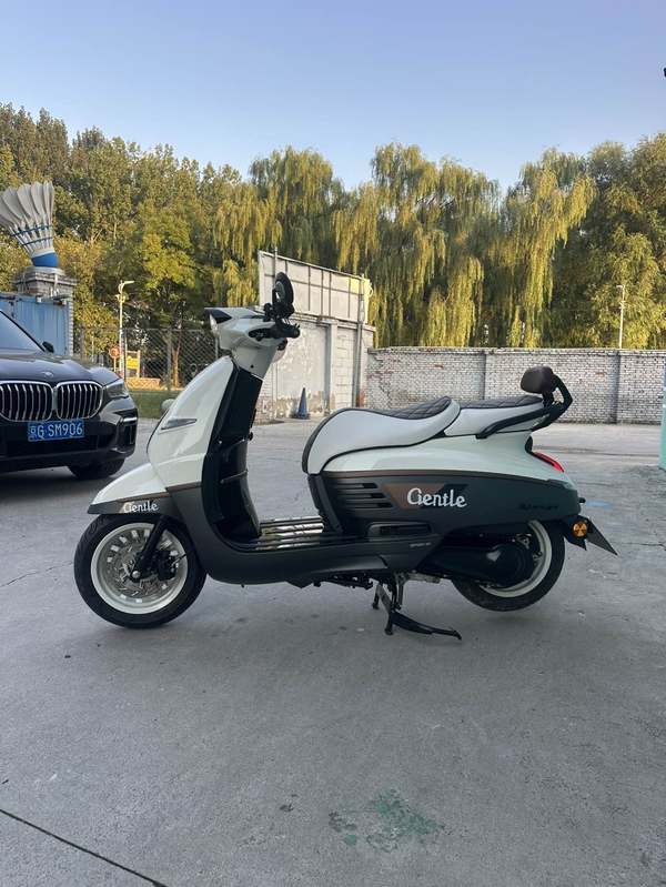 二手标致DJANGO