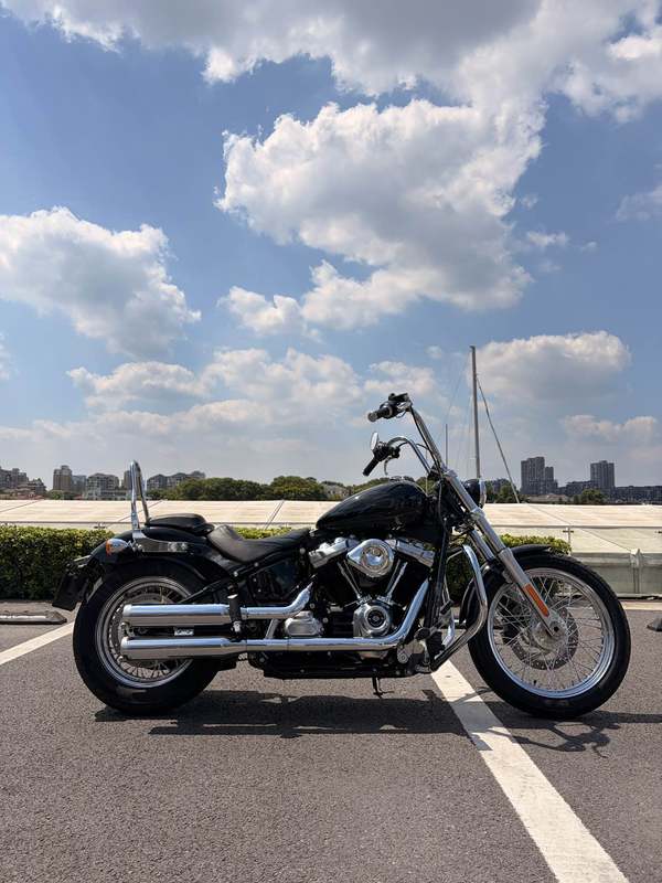 二手哈雷戴维森Softail Standard
