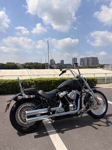 二手哈雷戴维森Softail Standard