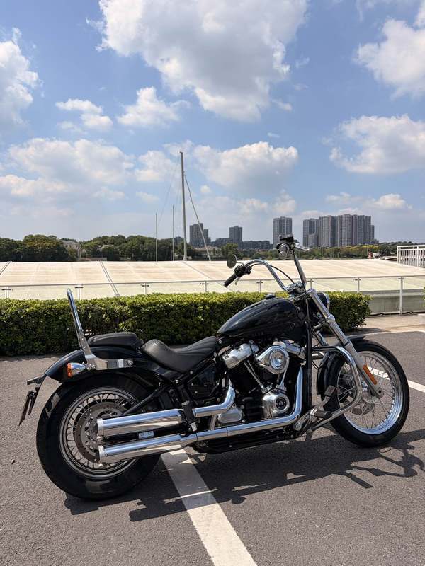二手哈雷戴维森Softail Standard