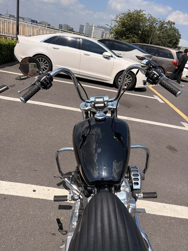 二手哈雷戴维森Softail Standard